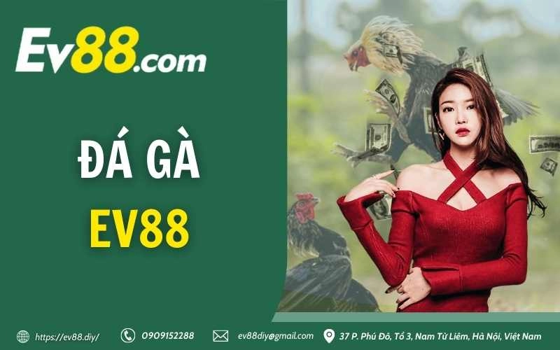da ga ev88