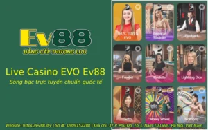 live casino evo ev88 1